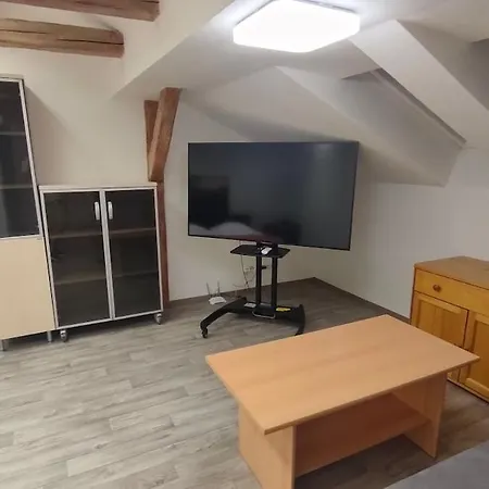 Symbiola Apartment Decin