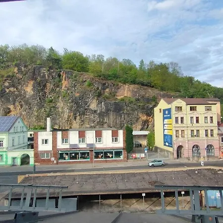 Symbiola Decin