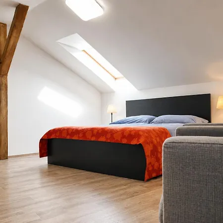 Apartamento Symbiola Decin