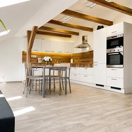 Apartamento Symbiola Decin